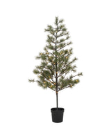 Julgran, HDPeuce, Natur