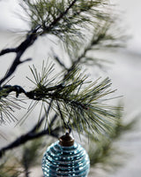 Julgran, HDPeuce, Natur
