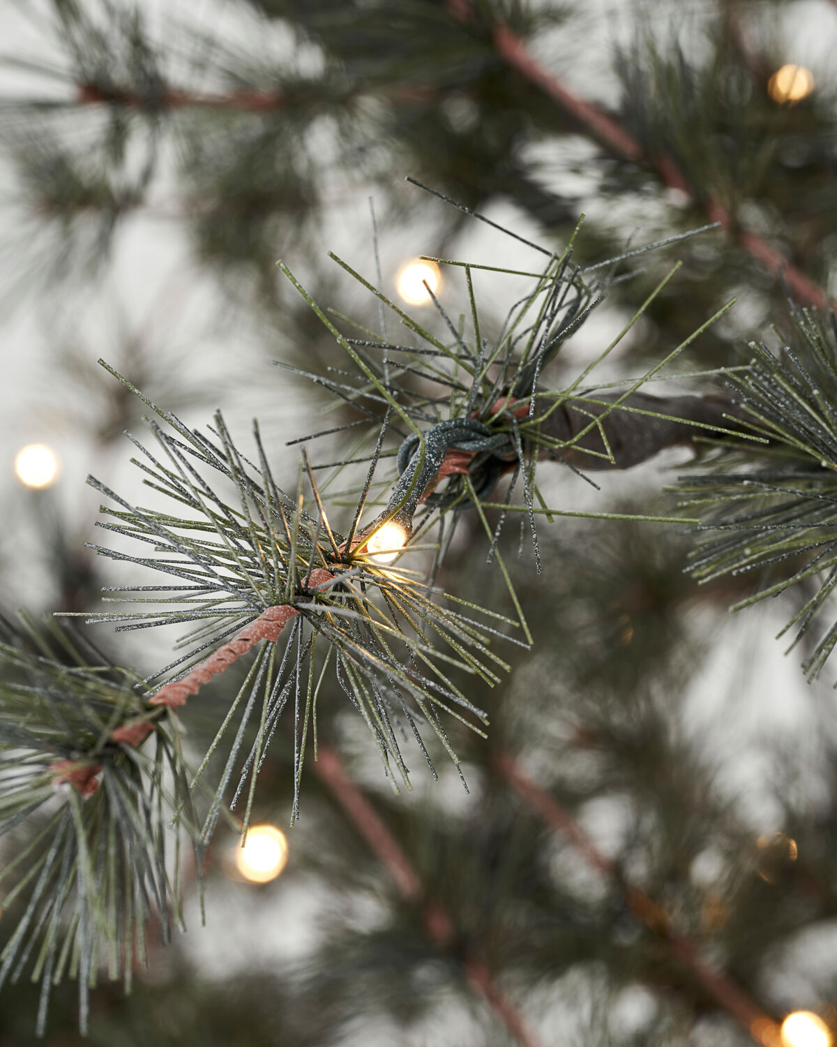 Julgran, HDPin, Natur