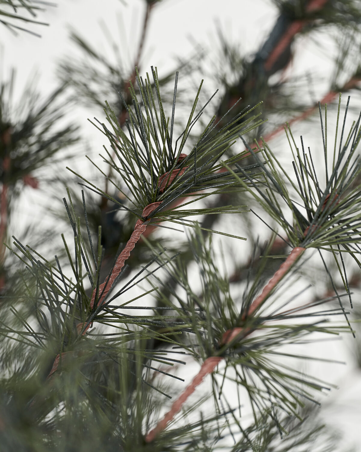 Julgran, HDPin, Natur
