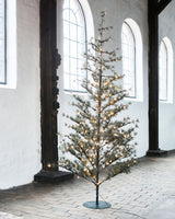 Julgran, HDPin, Natur