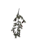 Julgren, HDPeuce, Natur