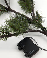 Julgren, HDPeuce, Natur