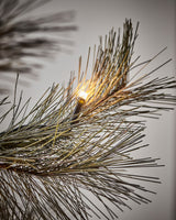 Julgran, HDPeuce, Natur
