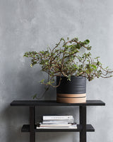 Blomkruka, HDAstu, Svart, Natur