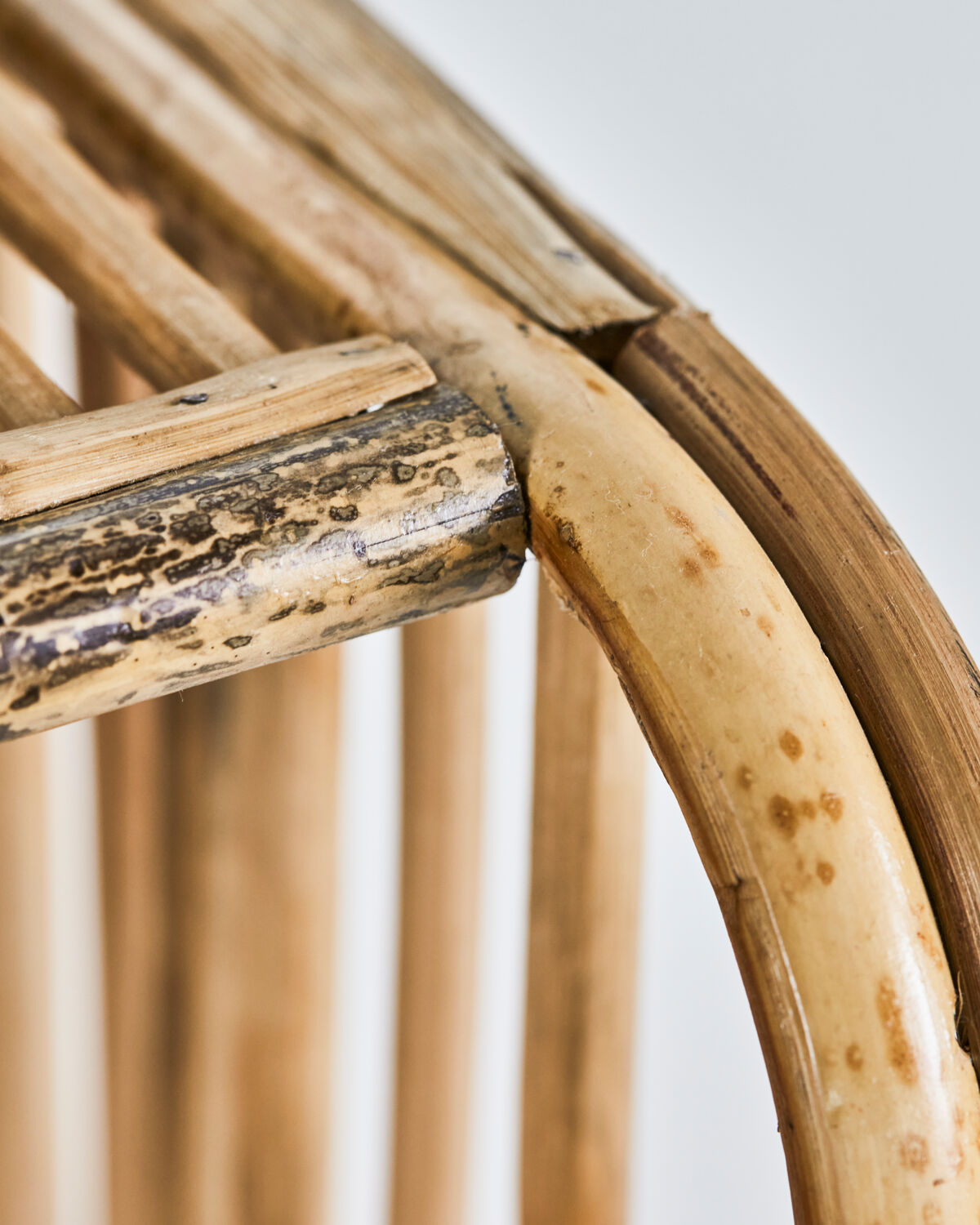 Hylla, HDShelf, Natur