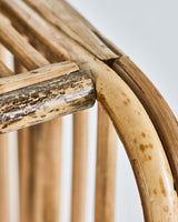 Hylla, HDShelf, Natur
