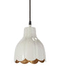 Tulippa Tak/fönster – Beige 17 cm