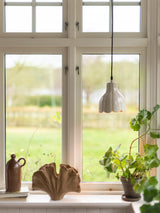 Tulippa Tak/fönster – Beige 17 cm