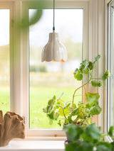Tulippa Tak/fönster – Beige 17 cm