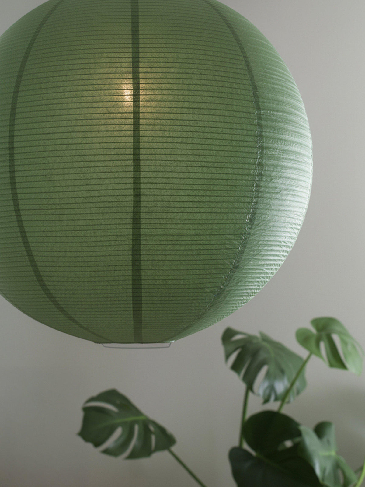 Haru Takskärm – Grön 50 cm