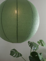 Haru Takskärm – Grön 50 cm