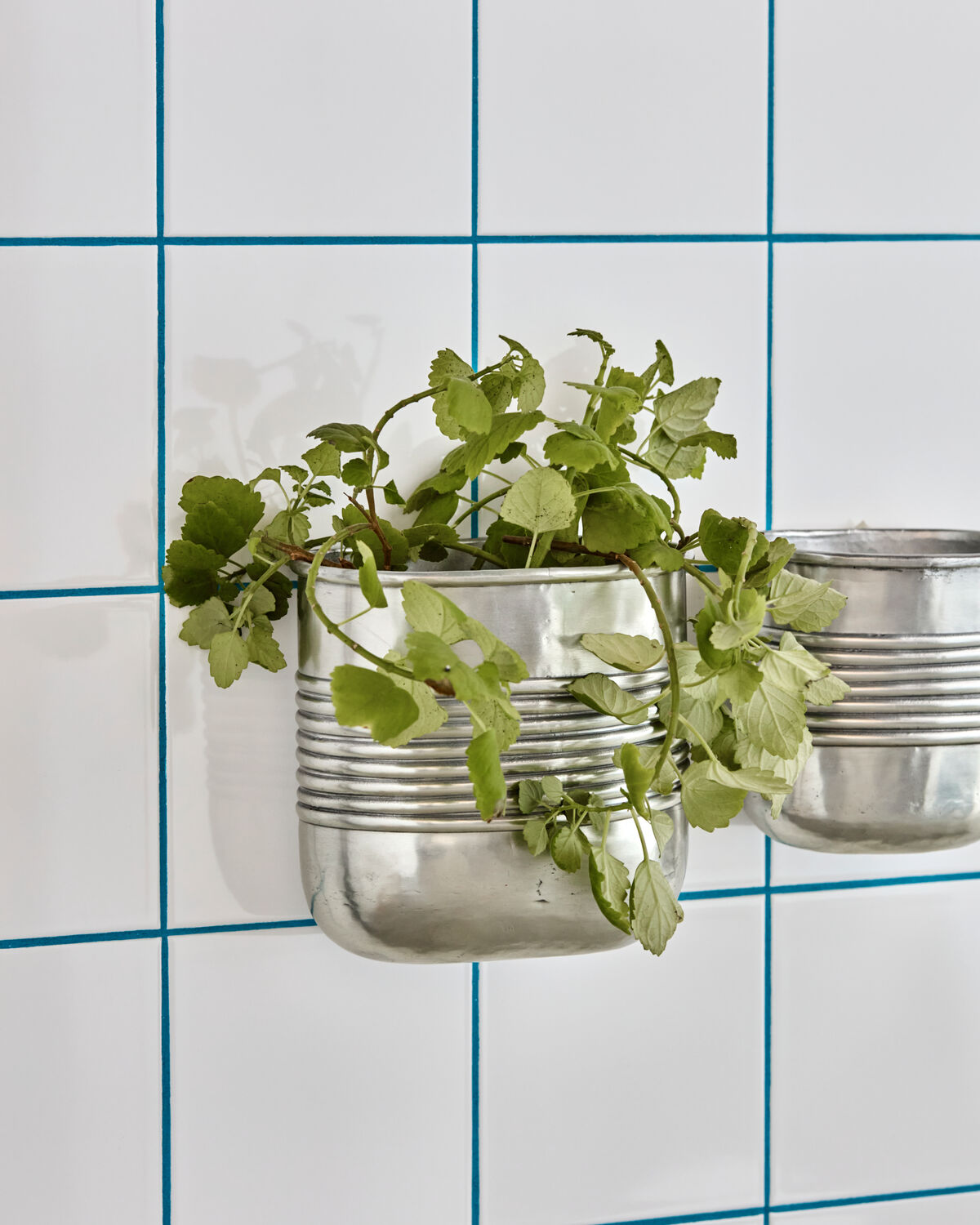 Blomkruka, HDGroove, Antik silverfinish