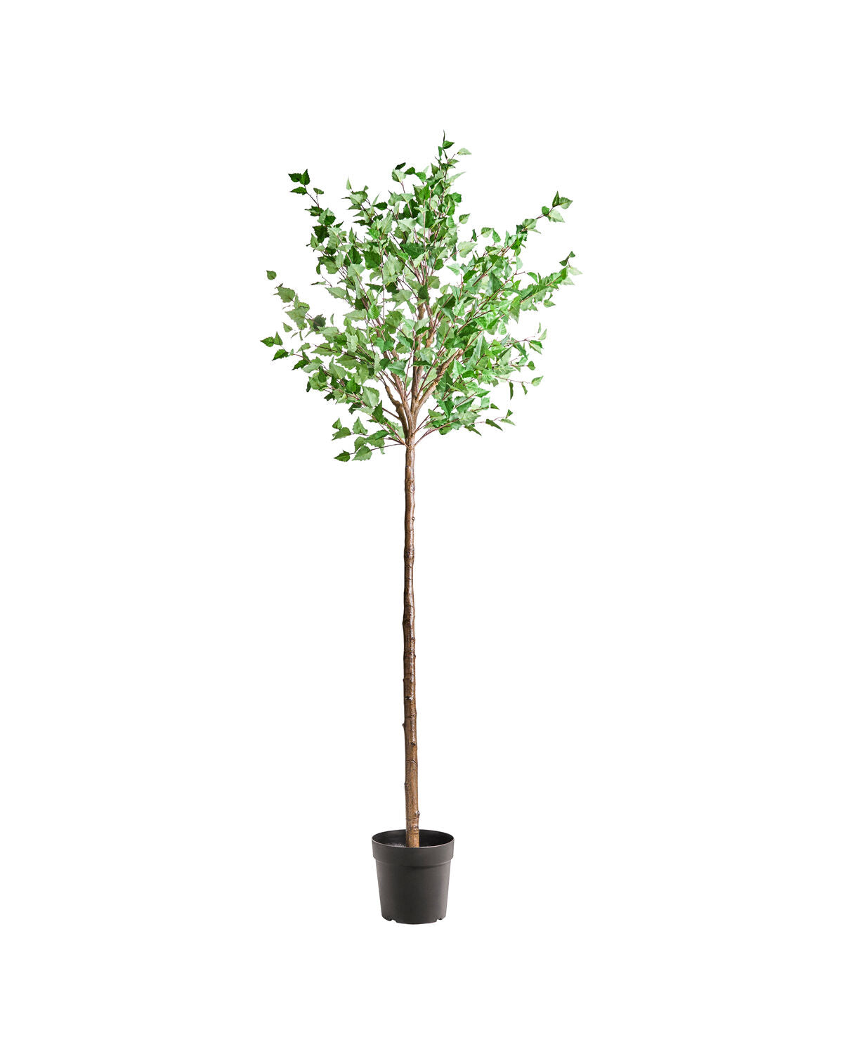 Konstgjord växt, HDHornbeam, Grön, Lila