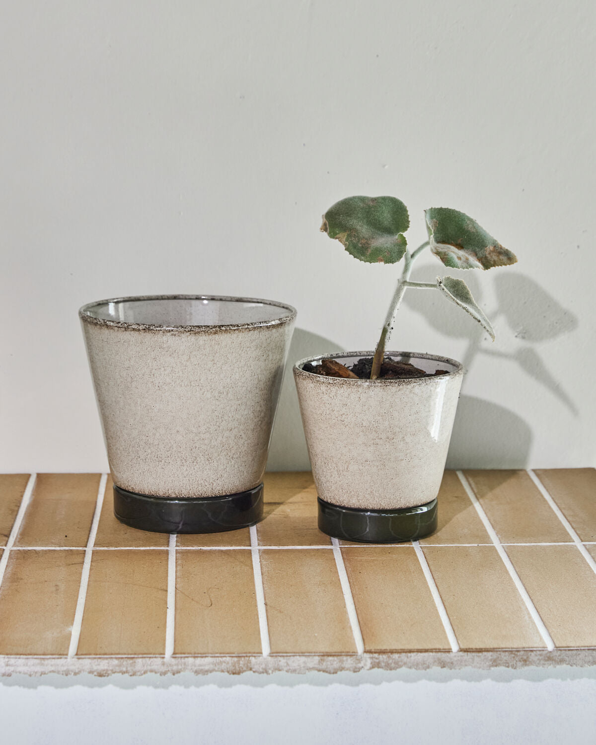 Blomkruka, HDLima, Beige, Grön