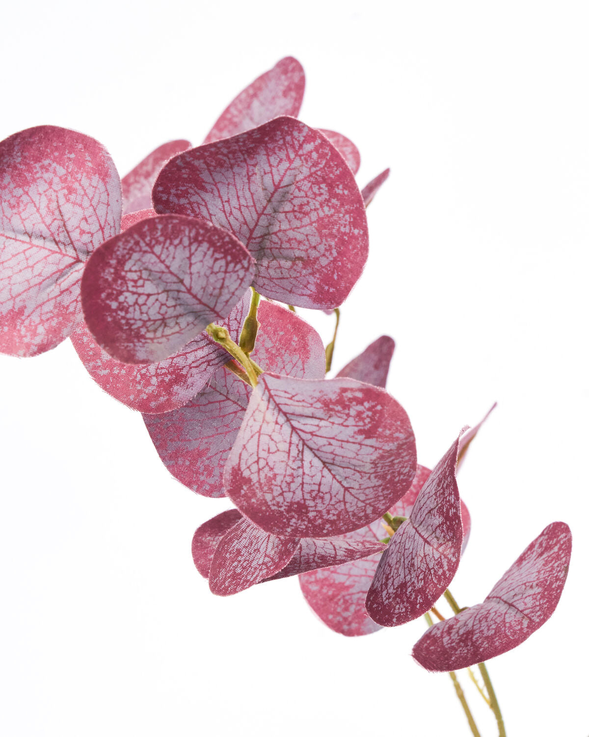 Artificial branch, HDEucalyptus, Bordeaux