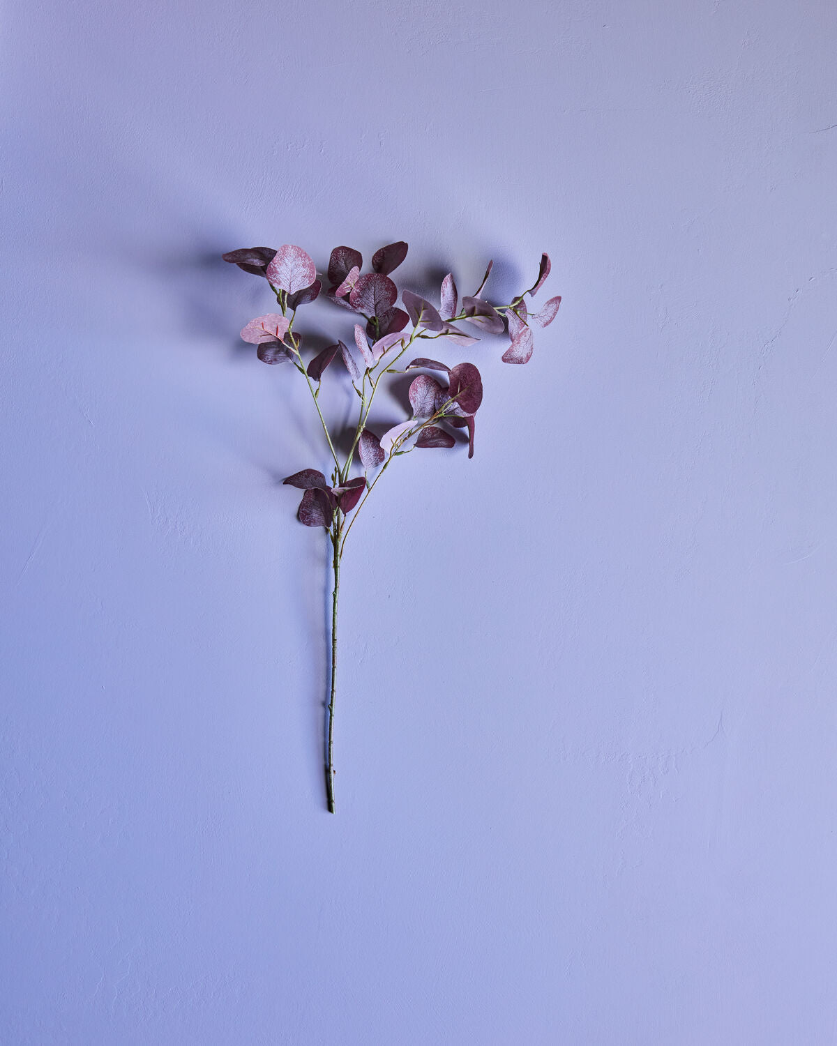 Artificial branch, HDEucalyptus, Bordeaux
