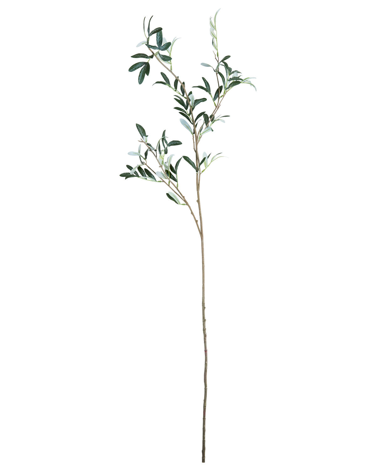 Artificial branch, HDOlive, Grön