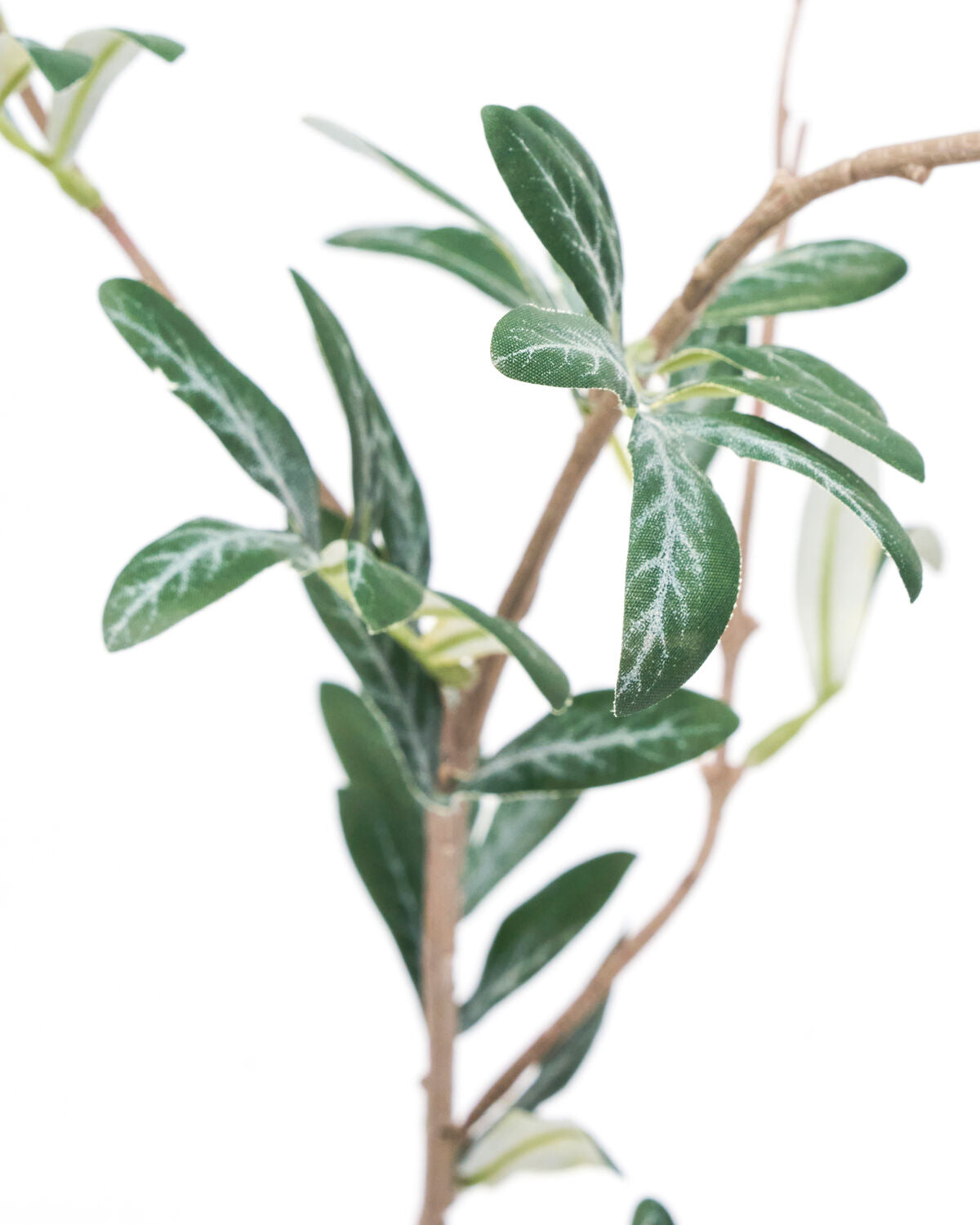 Artificial branch, HDOlive, Grön