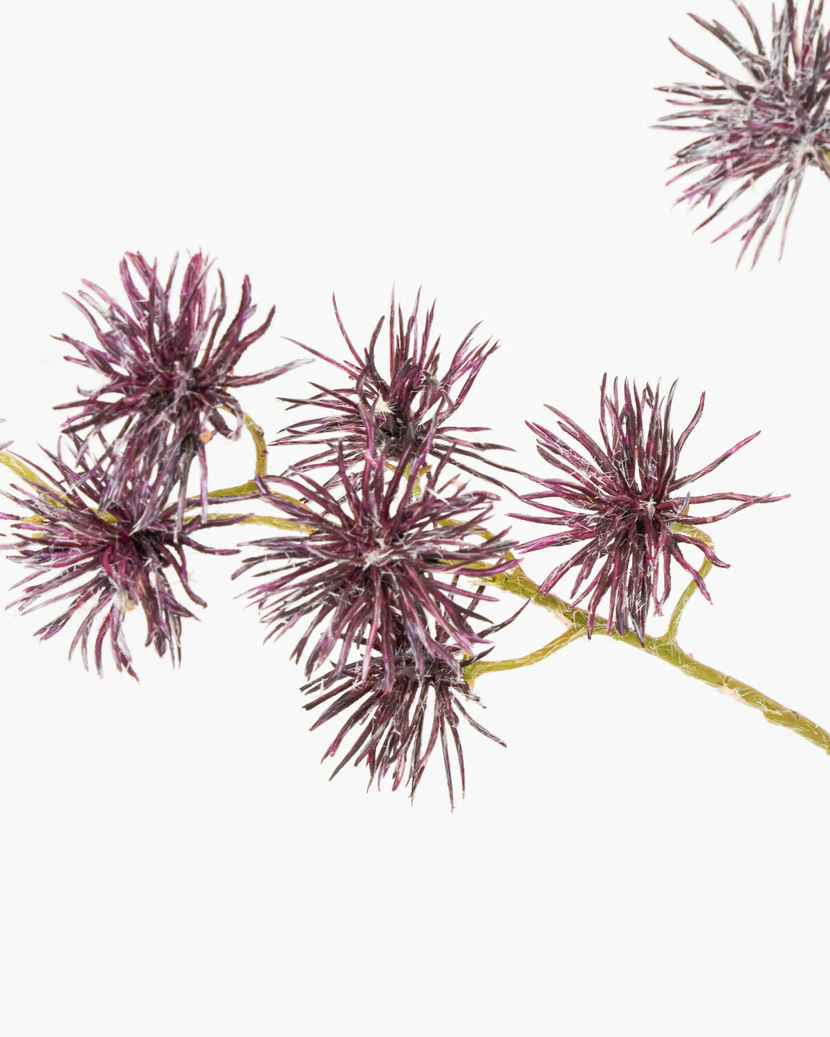 Artificial flower, HDUrchin spray, Bordeaux