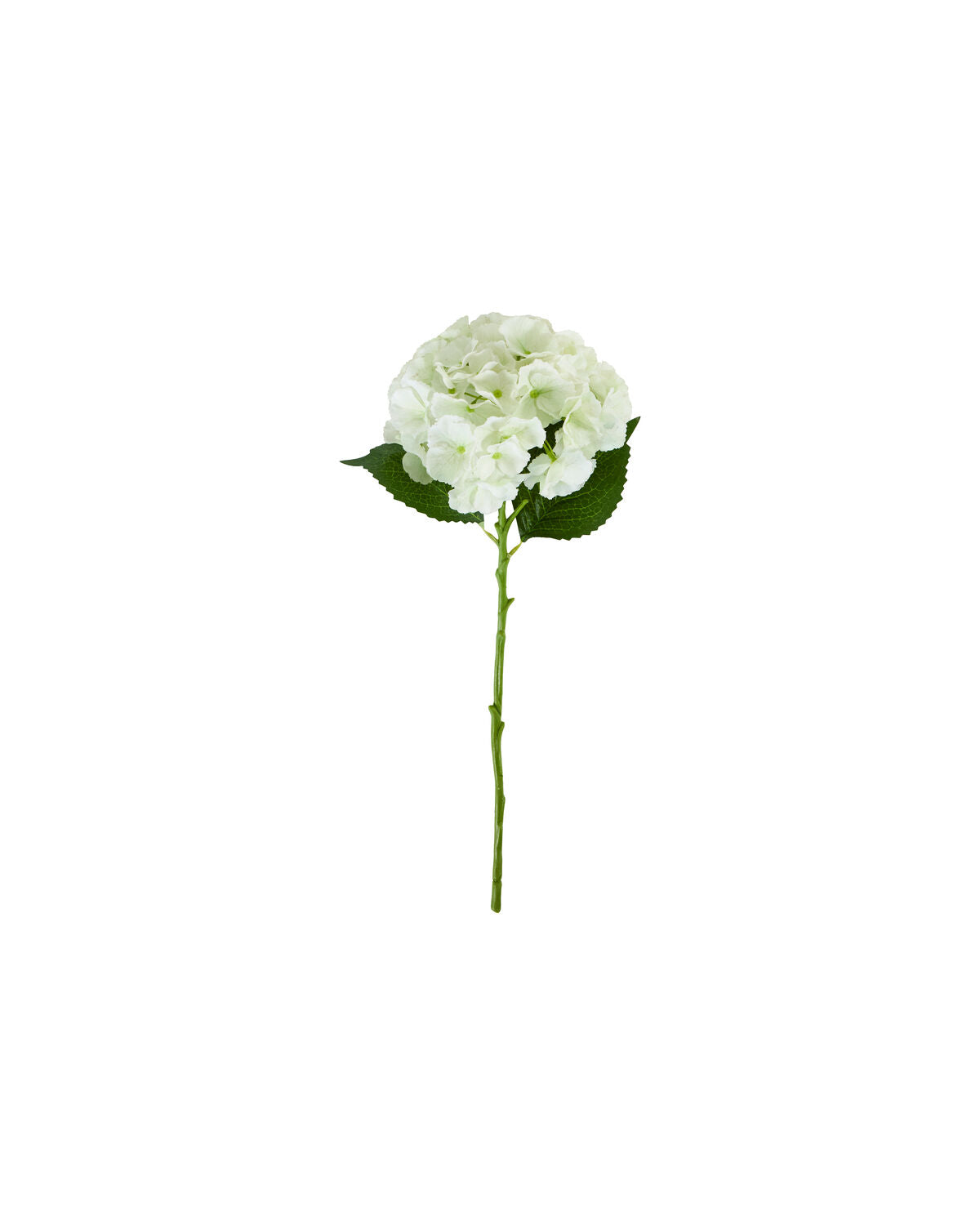 Artificial flower, HDHydrangea, Vit