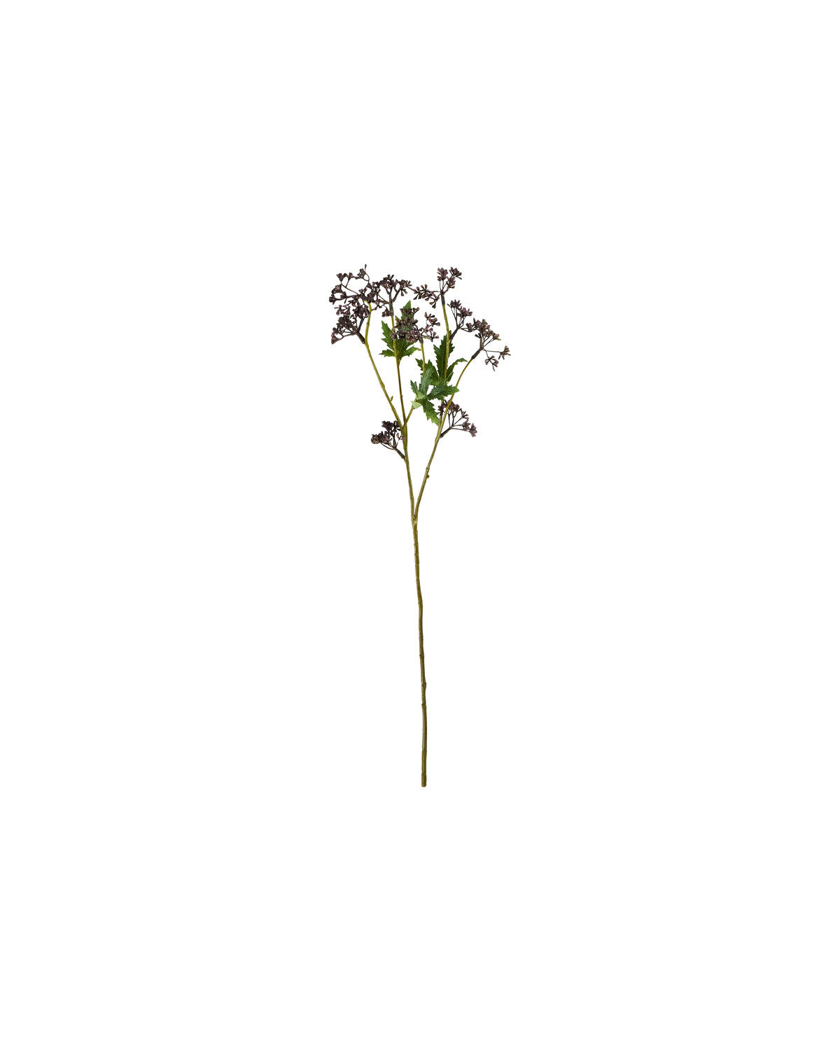 Artificial branch, HDMeadow, Bordeaux