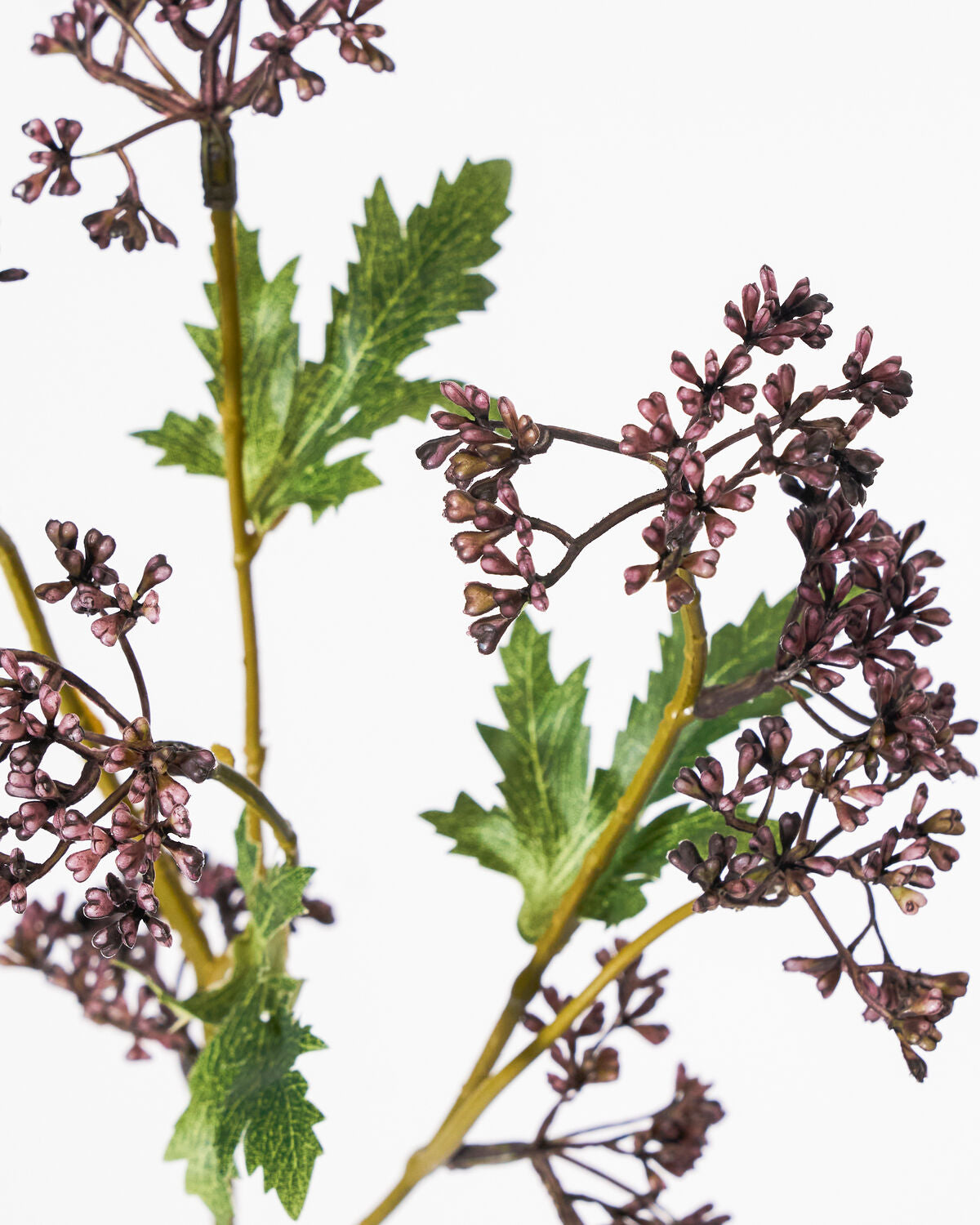 Artificial branch, HDMeadow, Bordeaux