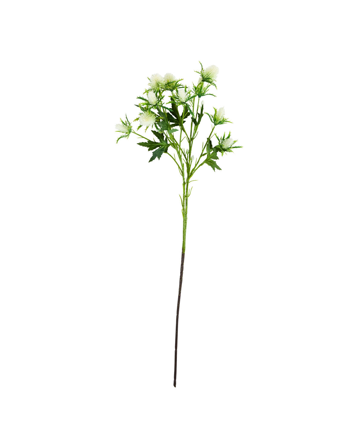 Artificial flower, HDEryngium, Vit