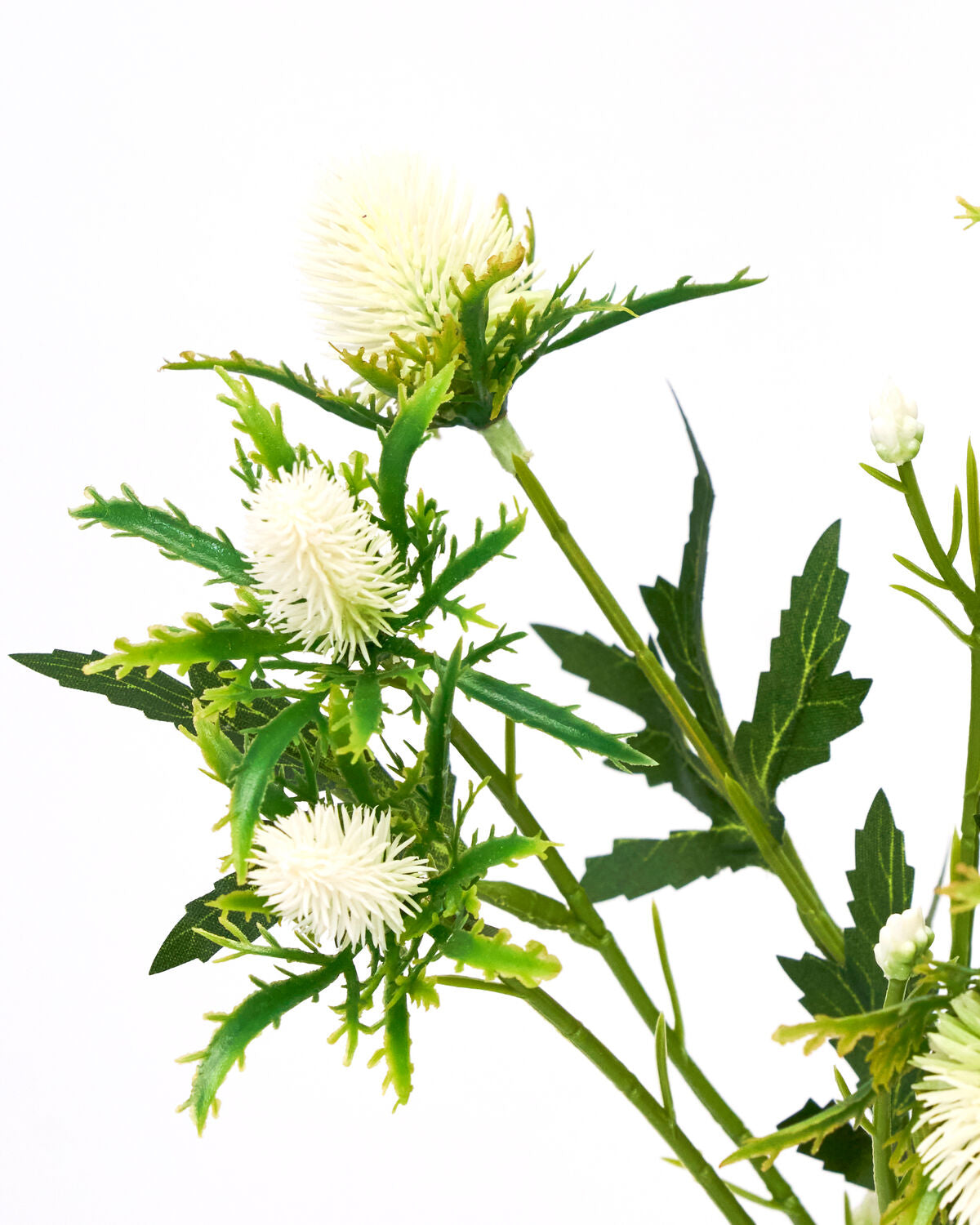 Artificial flower, HDEryngium, Vit