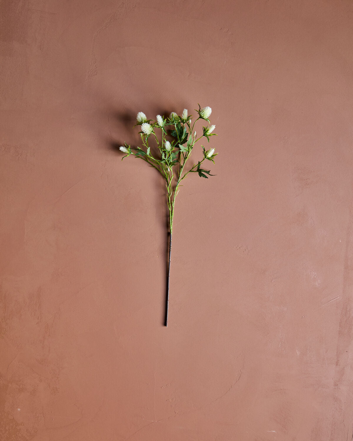 Artificial flower, HDEryngium, Vit
