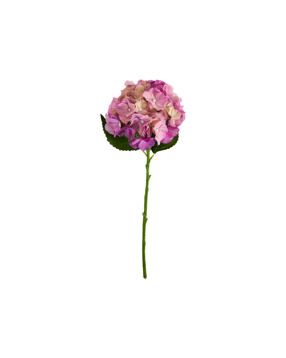 Artificial flower, HDHydrangea, Rosa
