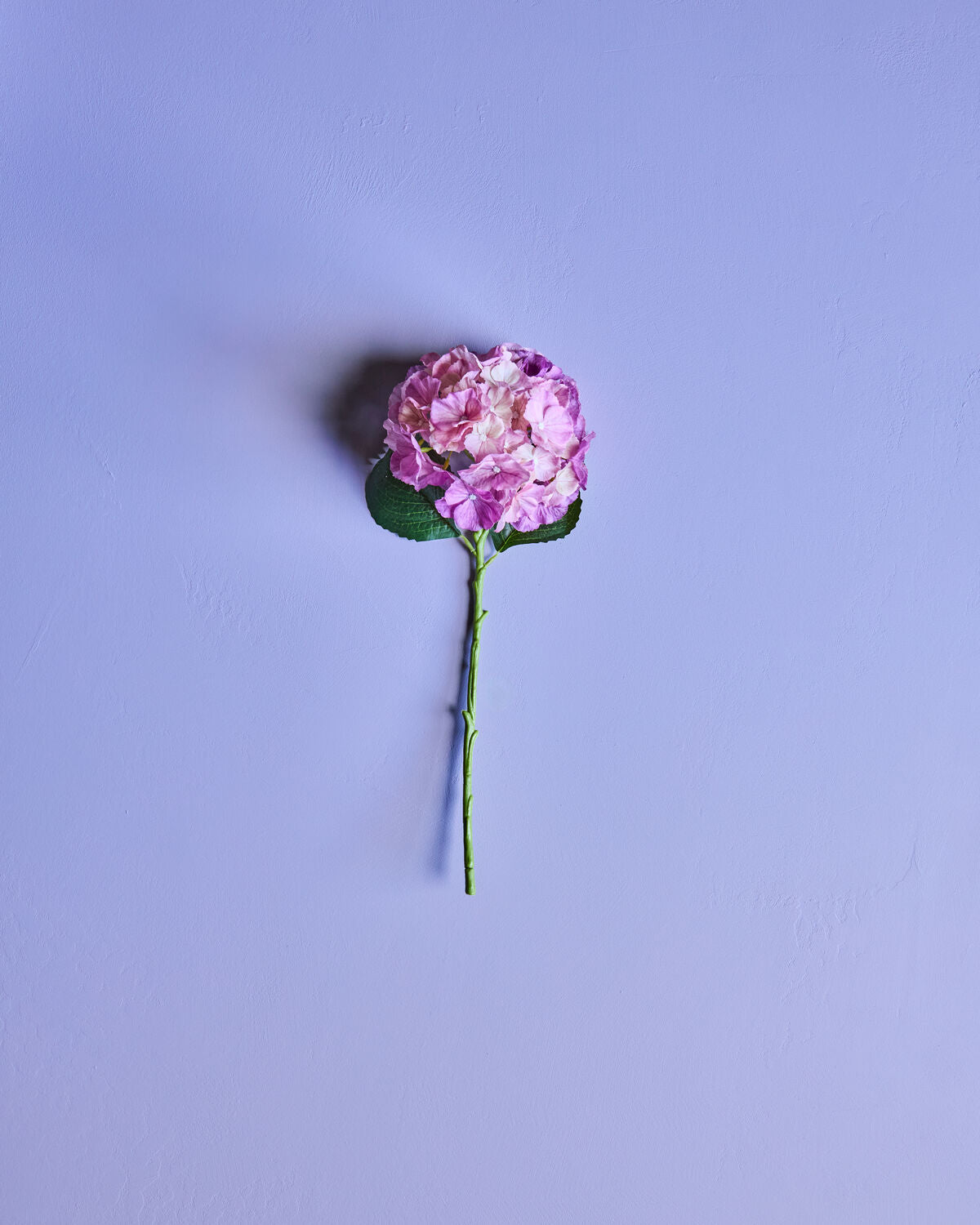 Artificial flower, HDHydrangea, Rosa
