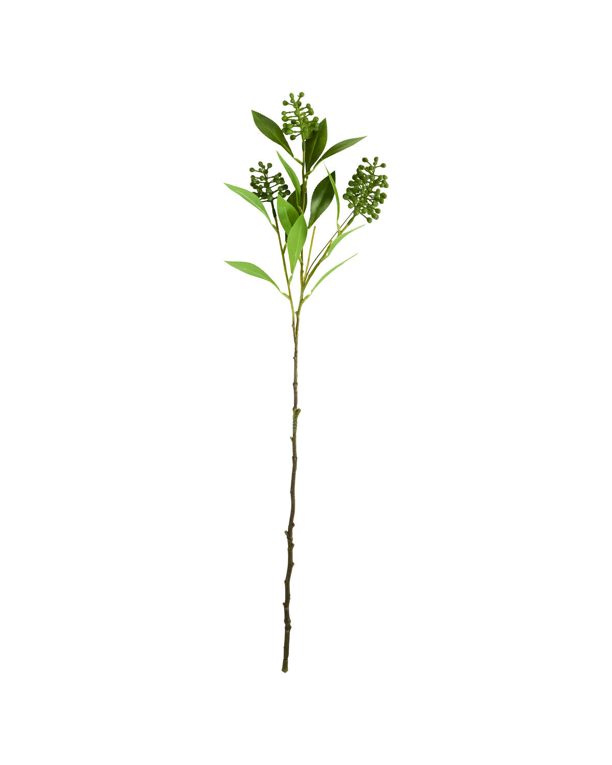 Artificial branch, HDLigustrum, Grön