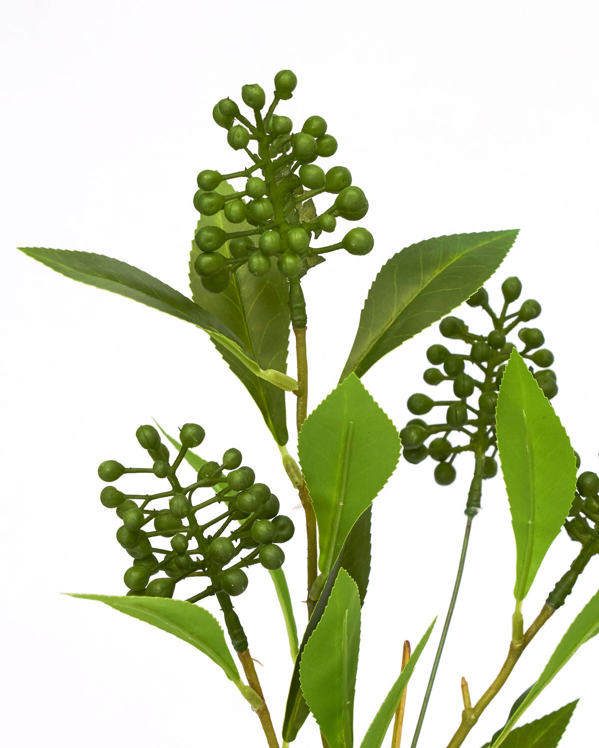 Artificial branch, HDLigustrum, Grön