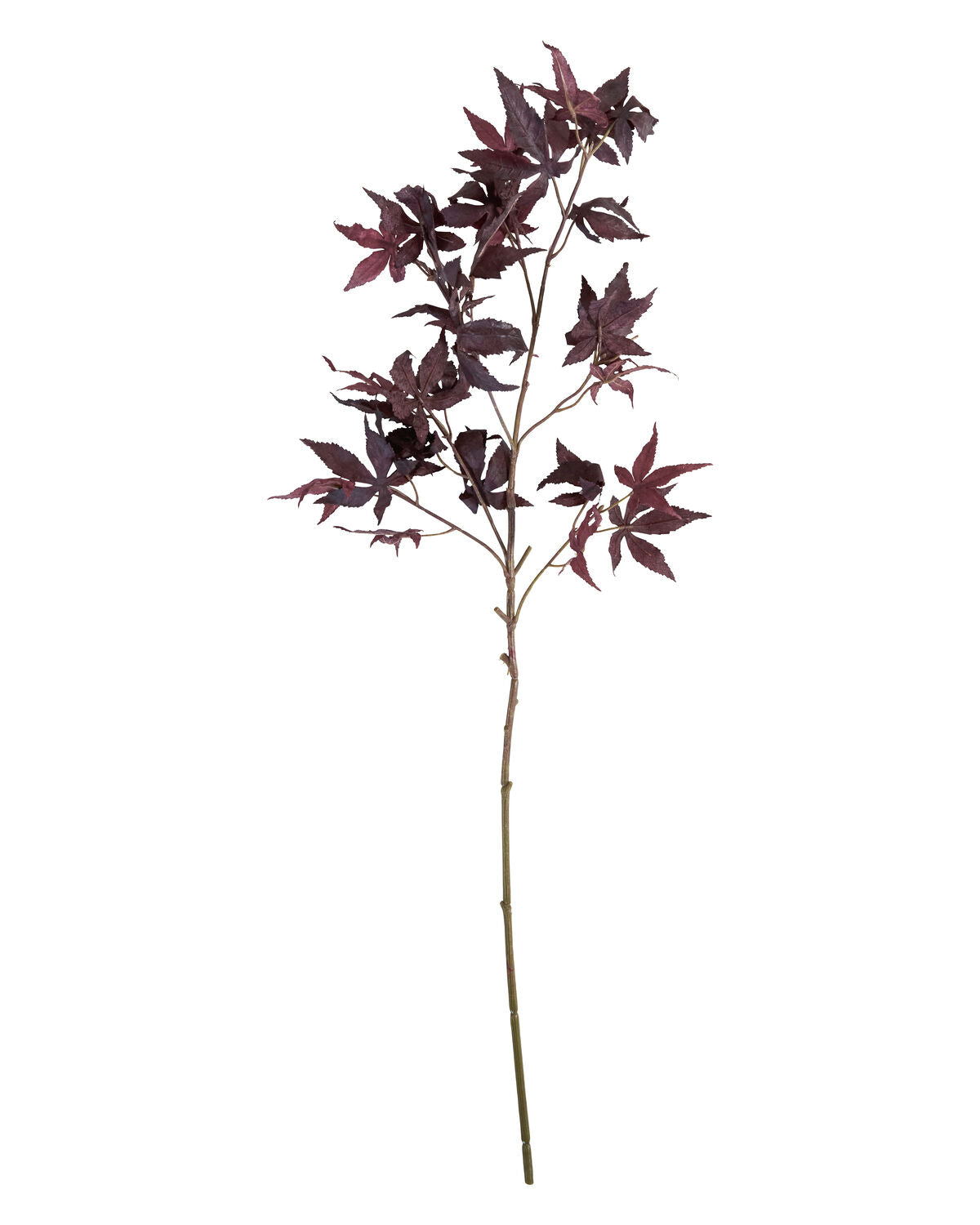 Artificial branch, HDMaple, Bordeaux