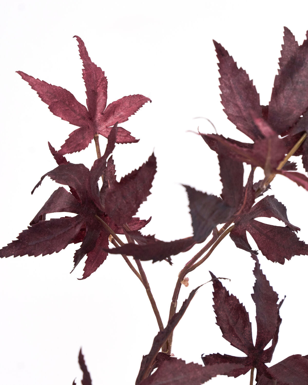 Artificial branch, HDMaple, Bordeaux