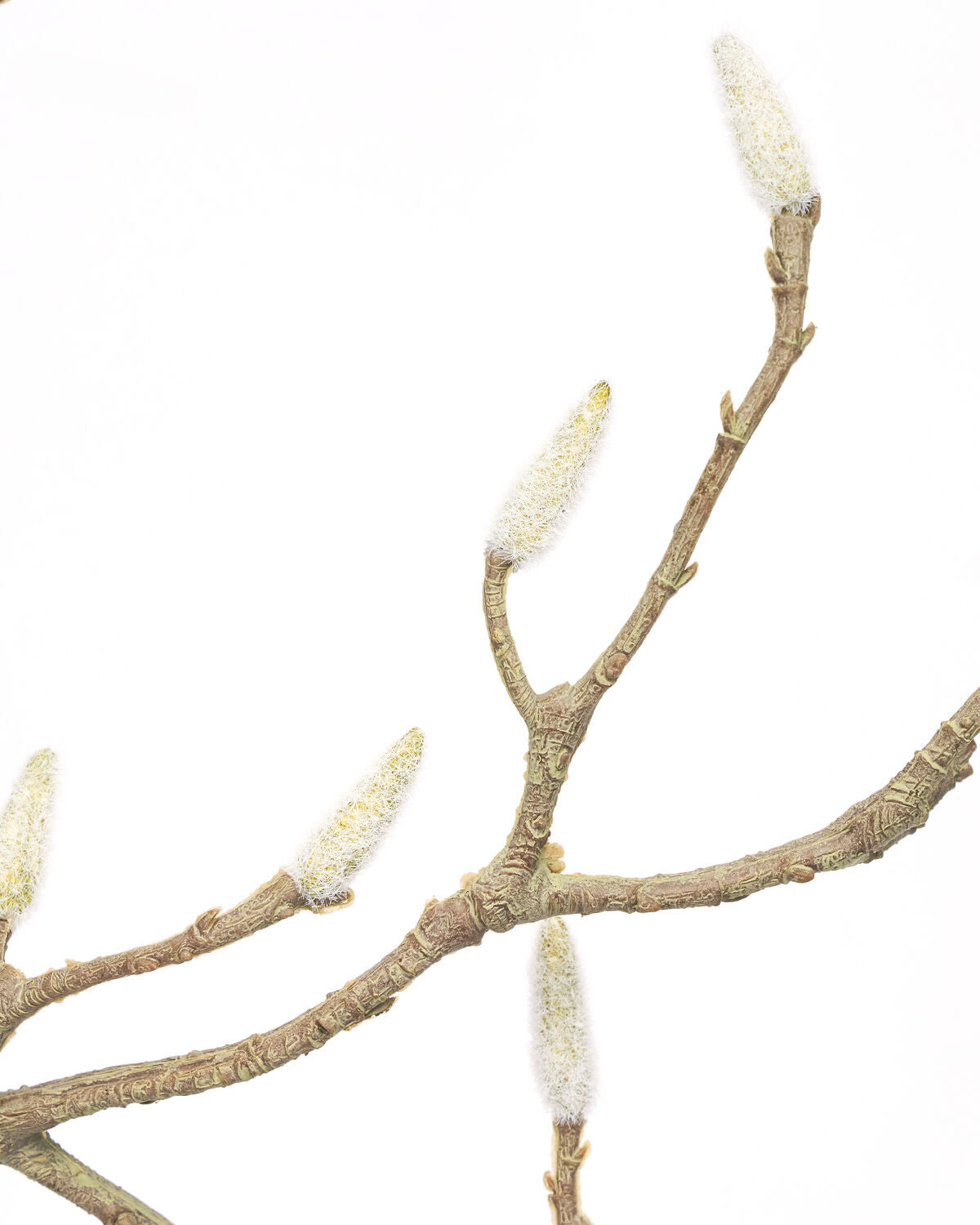 Artificial branch, HDMagnolia, Vit