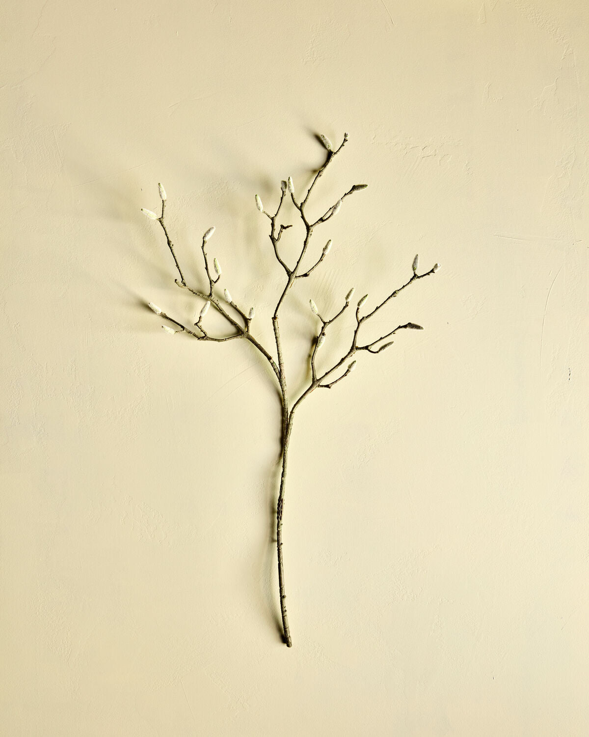 Artificial branch, HDMagnolia, Vit