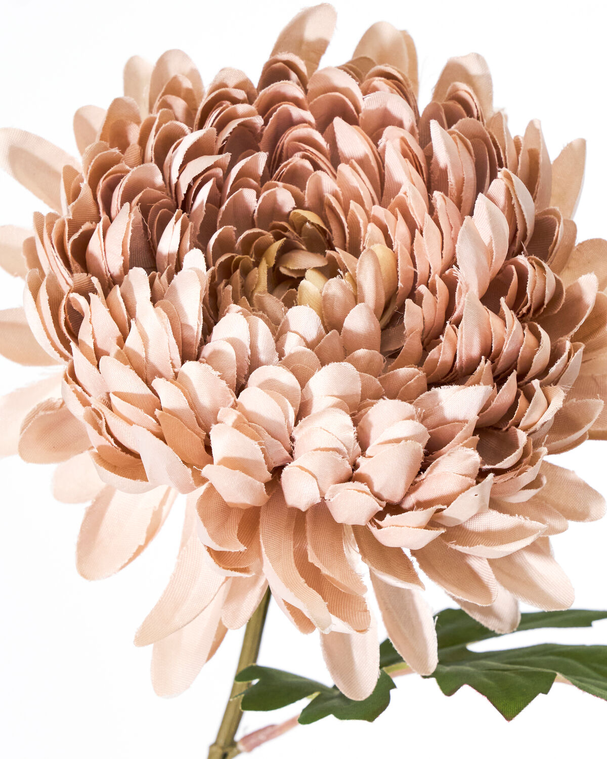 Artificial flower, HDChrysanthemum, Dammig ros