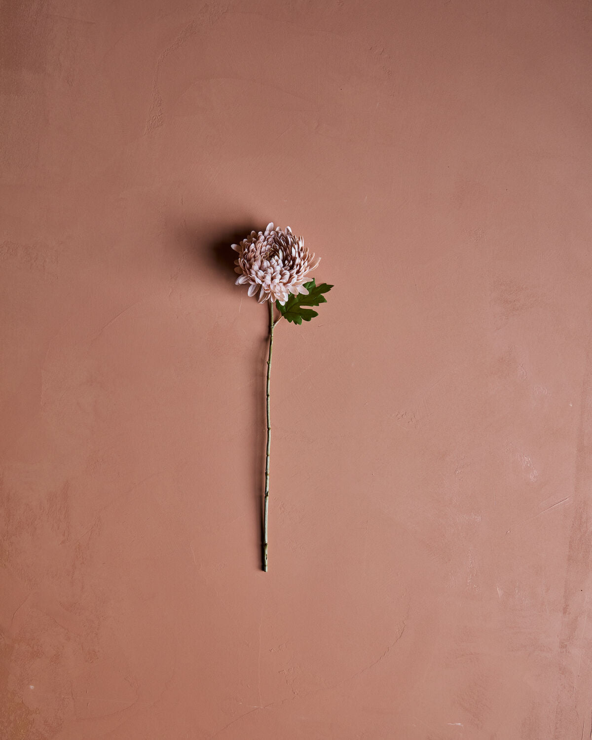 Artificial flower, HDChrysanthemum, Dammig ros