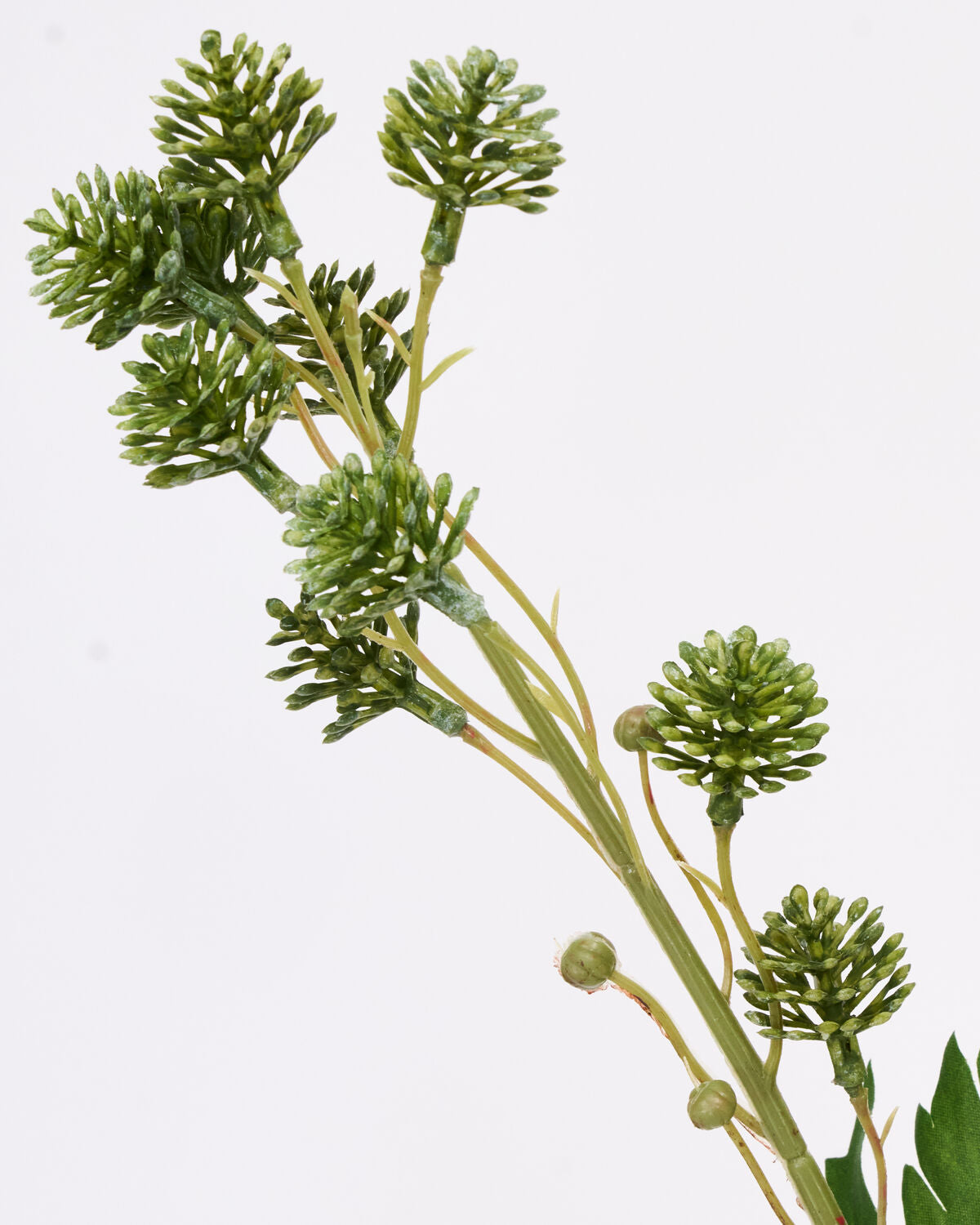 Artificial branch, HDSedum, Grön
