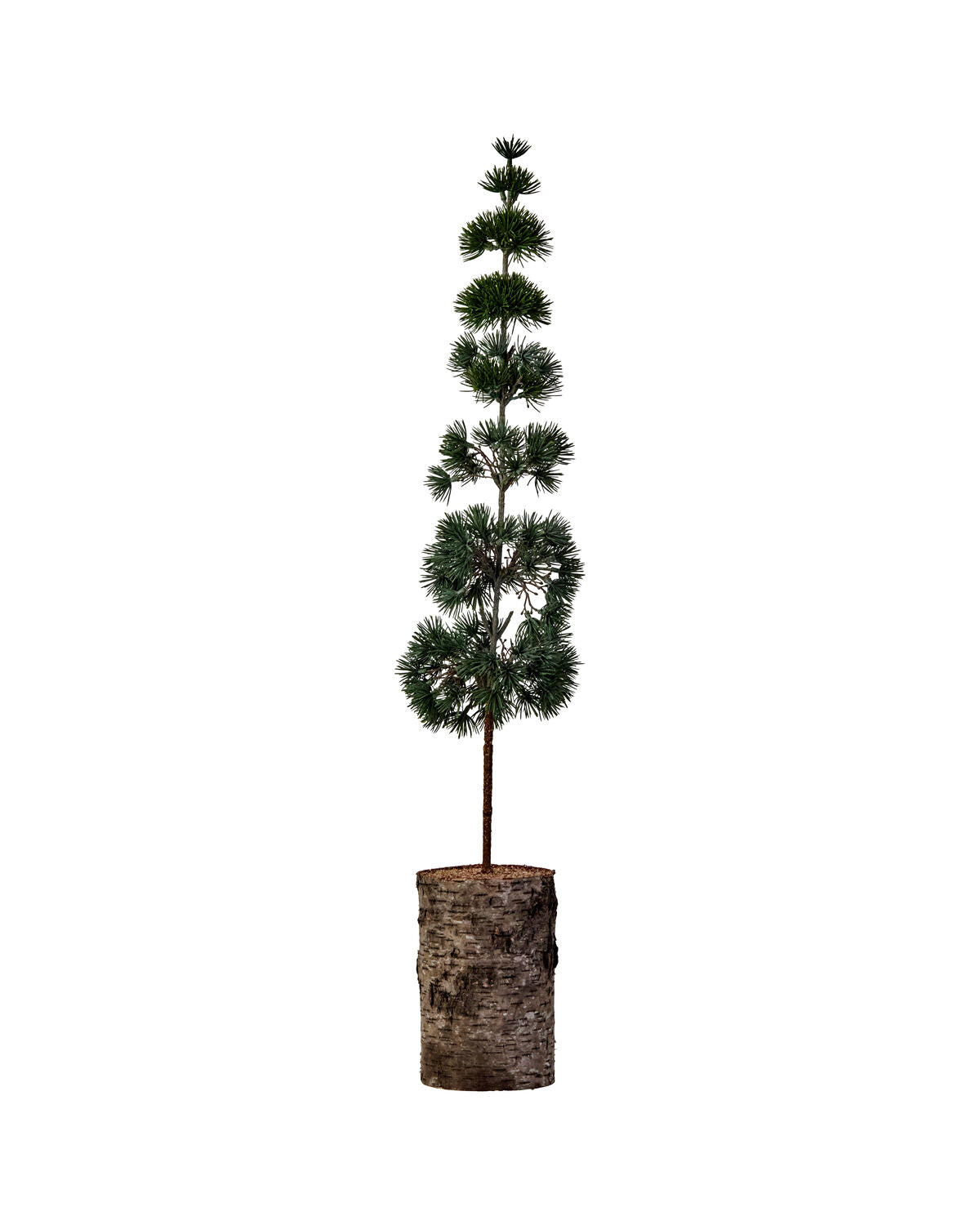 Julgran, HDPine, Grön