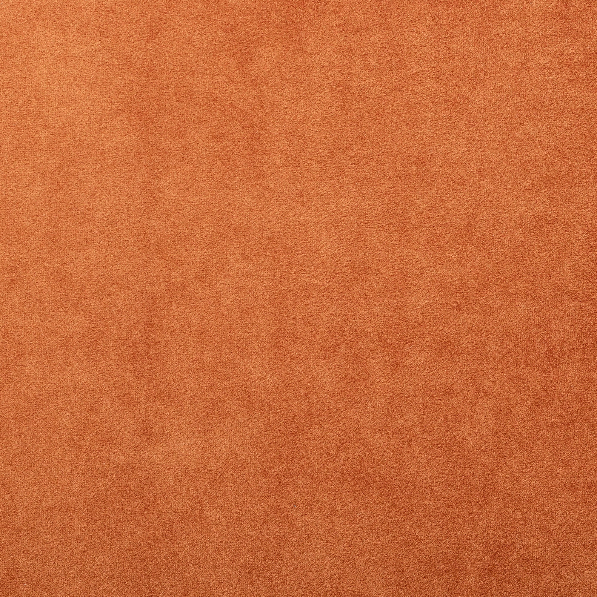 82046419