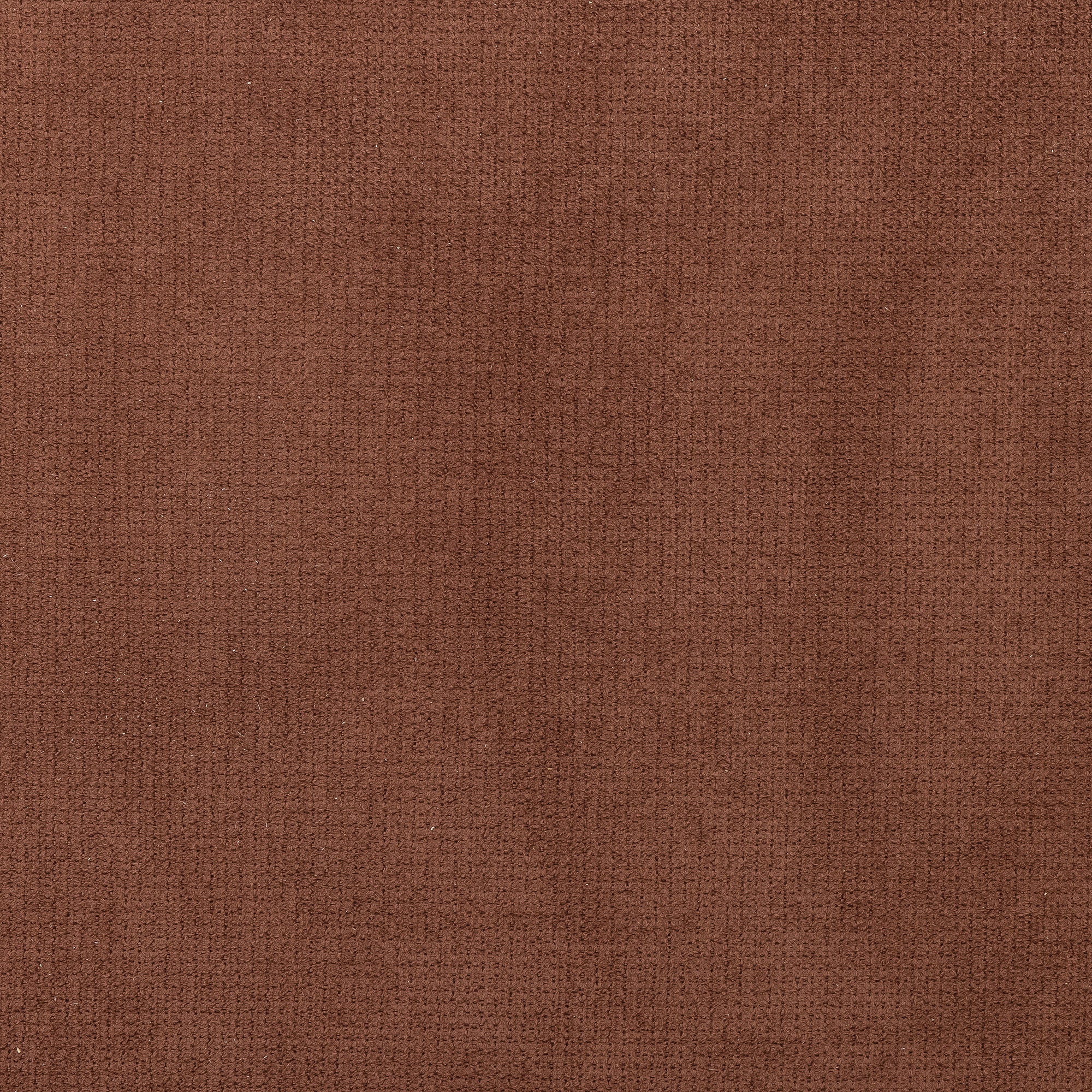 82055604